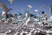 بررسی تکاپوی کابل برای مذاکرات صلح در پرتو استراتژی جدید آمریکا