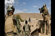 مقایسه افغانستان اوایل سال 2015 با شورش‌های جهان از زمان جنگ جهانی دوم