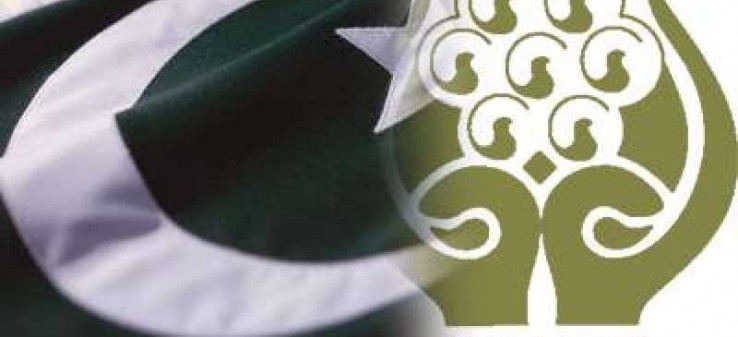 نگاهی به حضور پاکستان در «سارک»