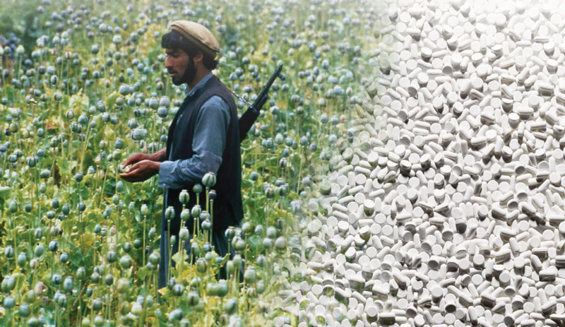 کشت خشخاش در افغانستان
